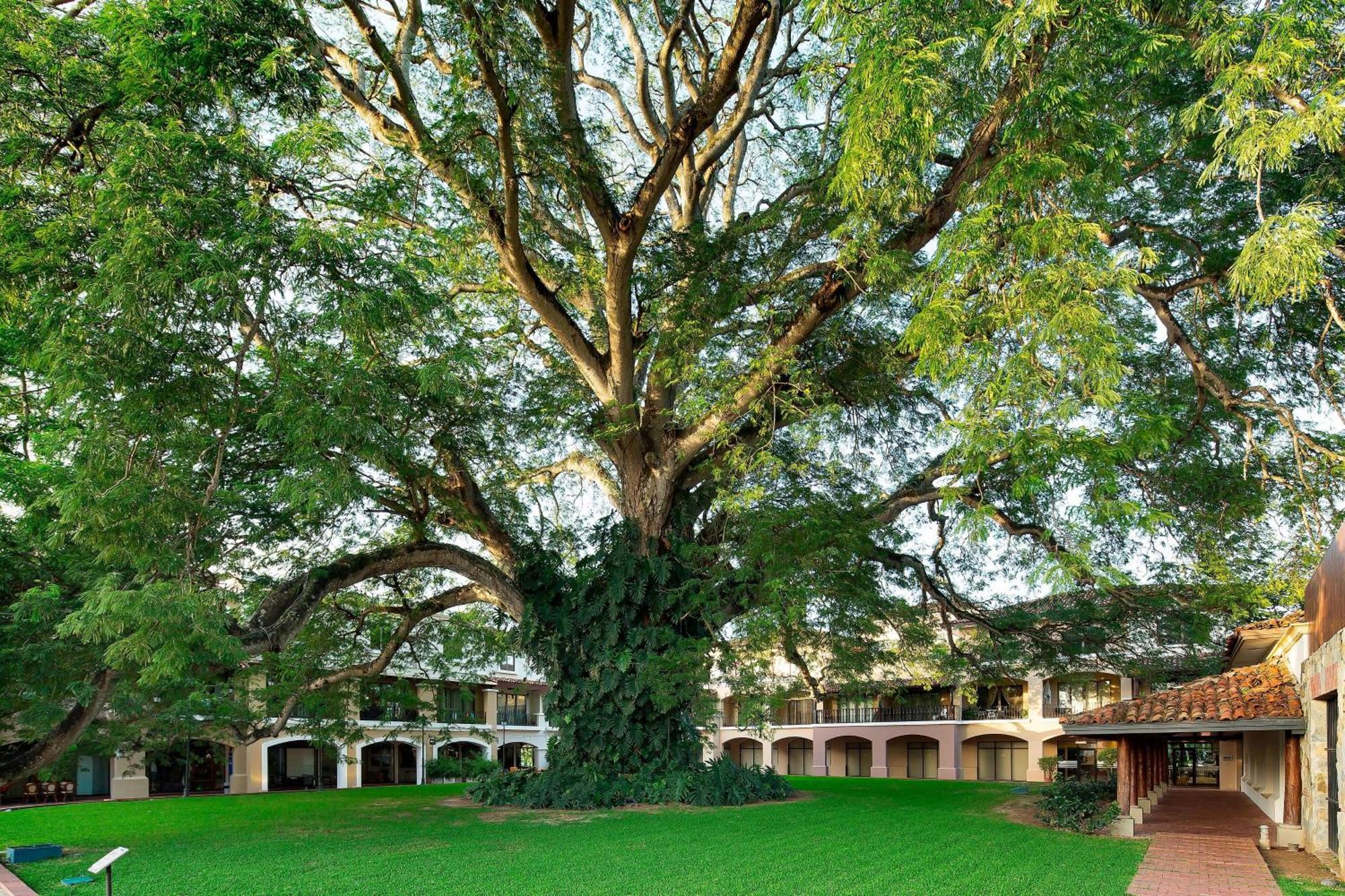 The Buenaventura Golf & Beach Resort, Autograph Collection Río Hato Exterior foto